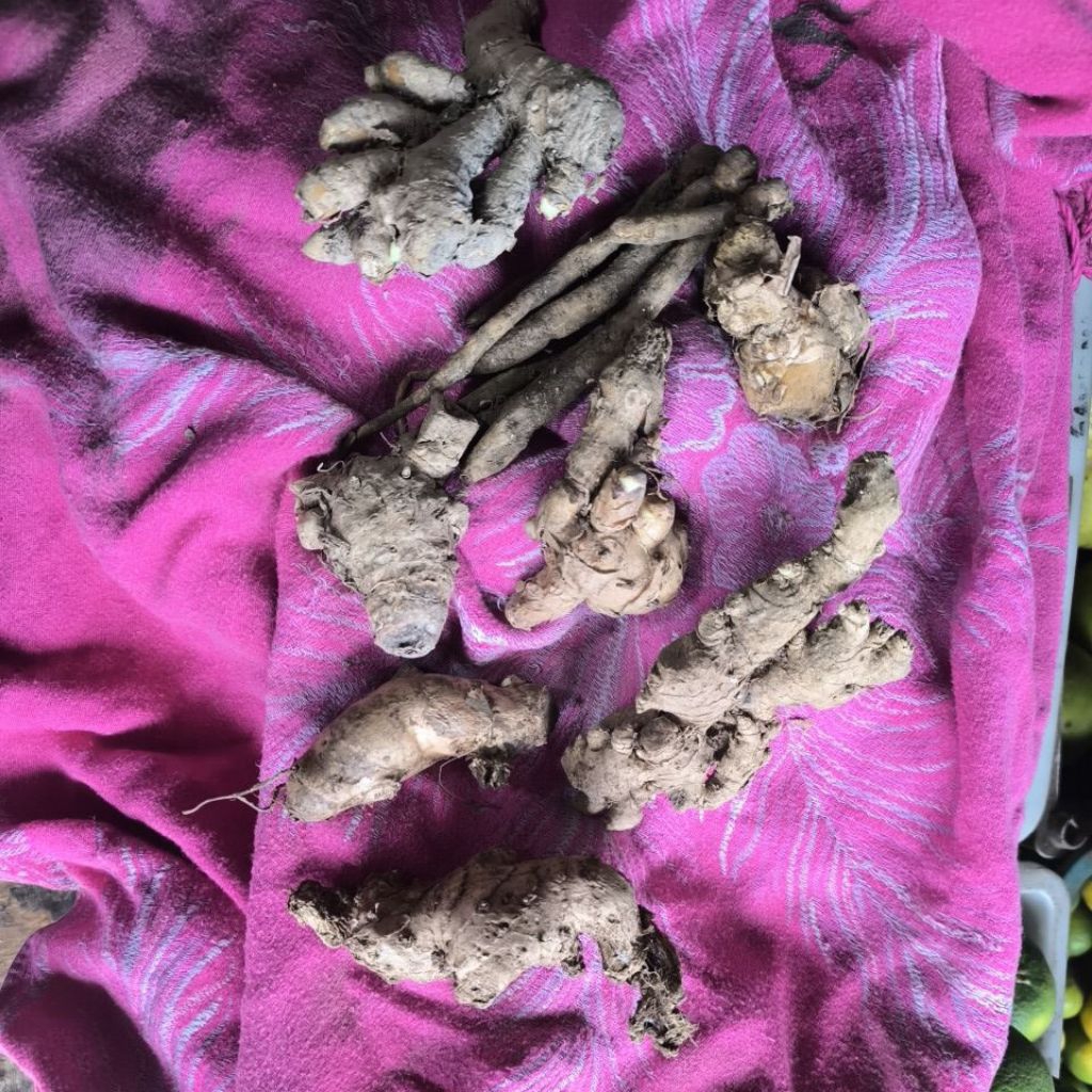 

kesaya reba reba lengkap 1kg