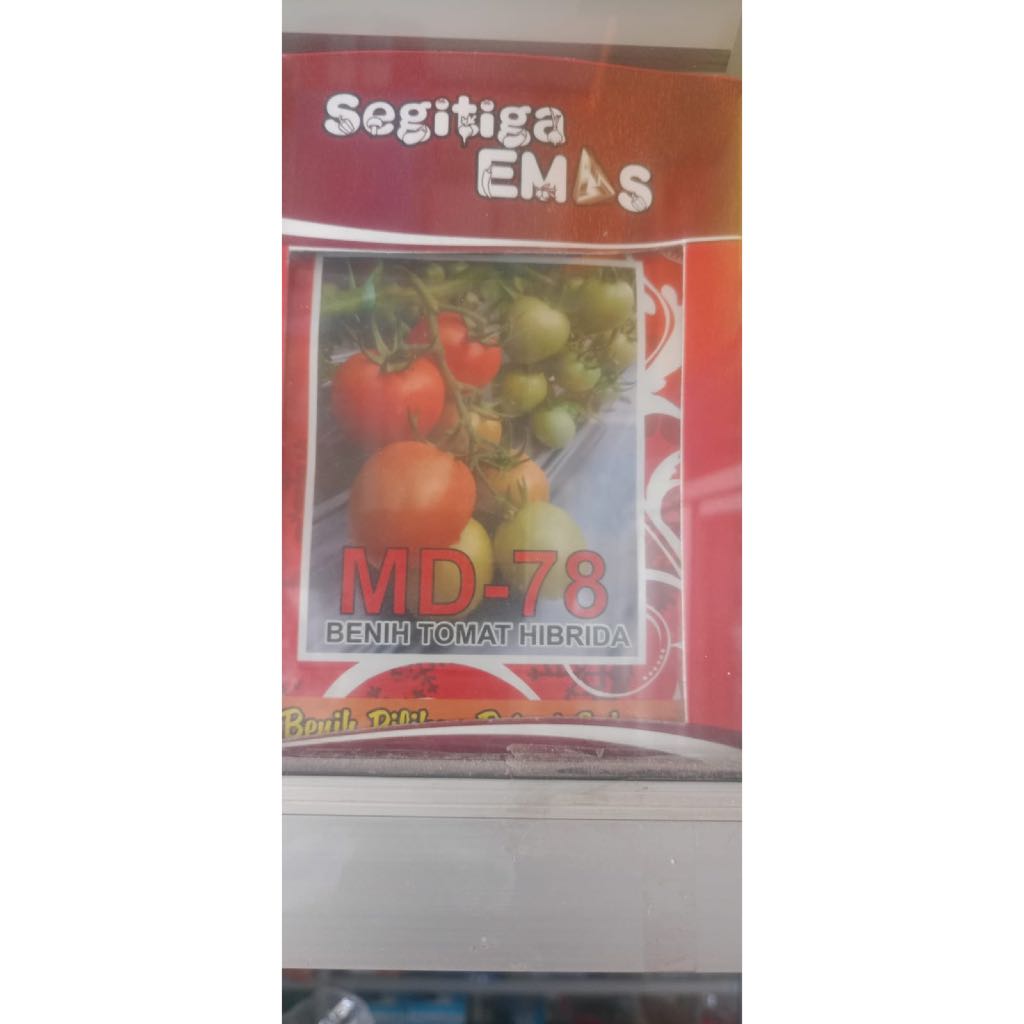 Benih Tomat Hibrida MD-78 isi 5gr dari SEGITIGA EMAS