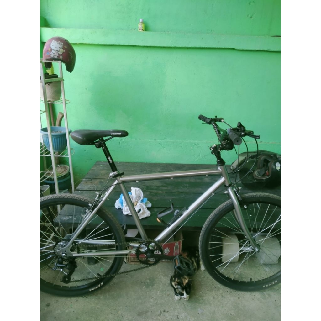 sepeda rata air mtb jadul size 24