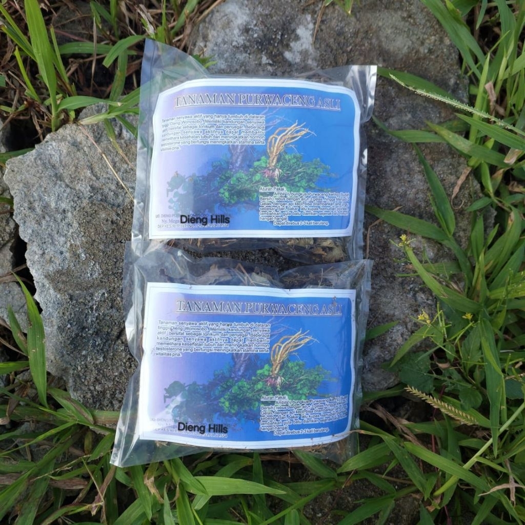 

TANAMAN PURWACENG KERING ASLI DIENG MURNI 100%