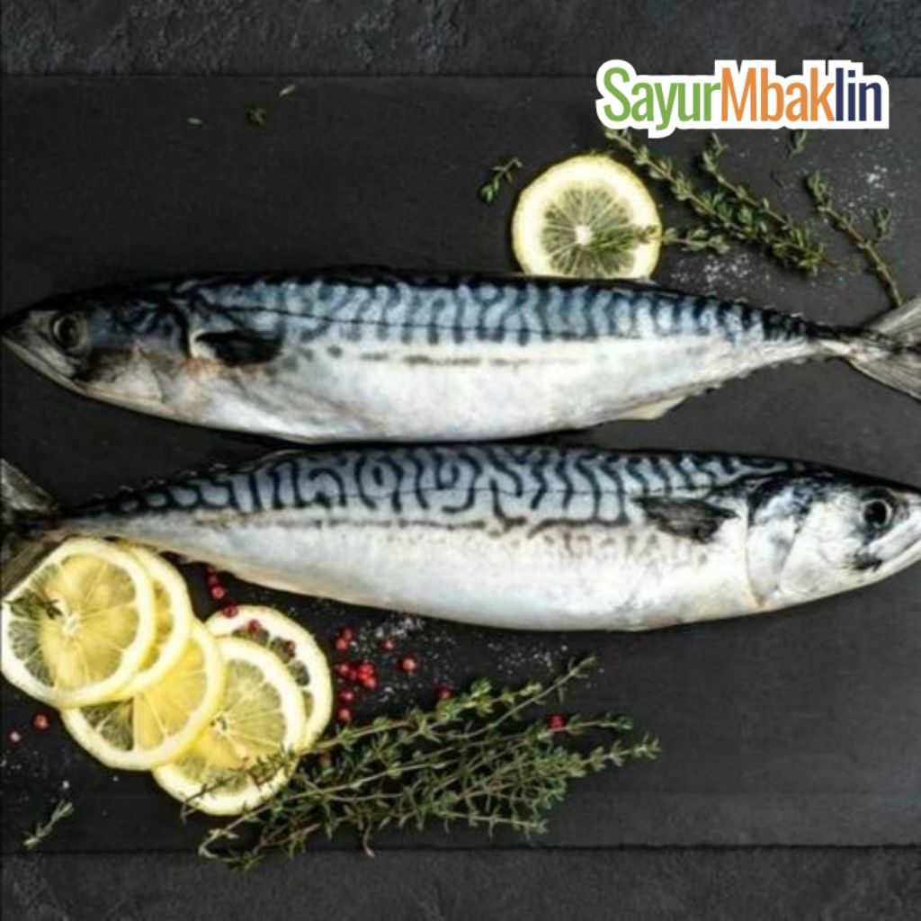 

Ikan Salem Segar 400-600g Sayurmbakiin