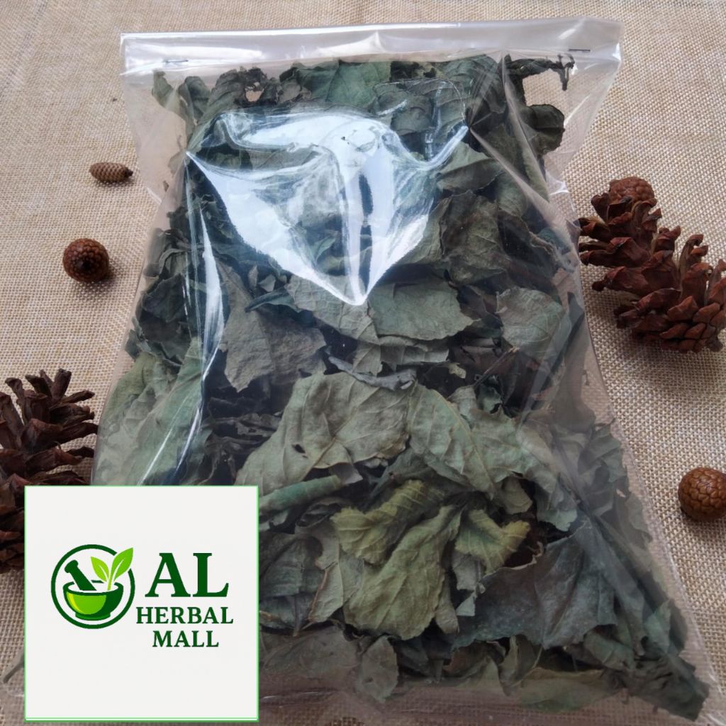 

Daun Keji Beling Kering Isi Per 500 Gram Organik