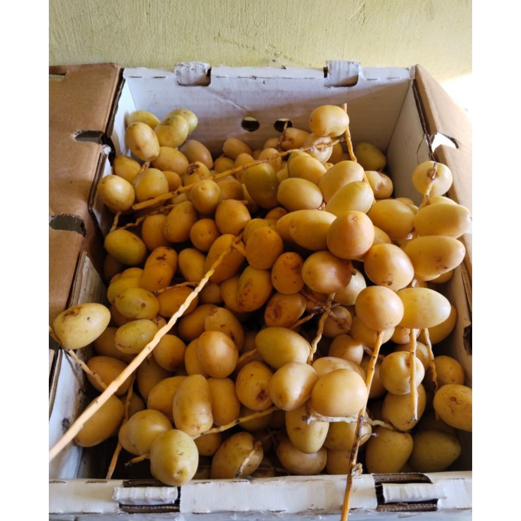 

kurma Muda 250g | kurma berkualitas | kurma original