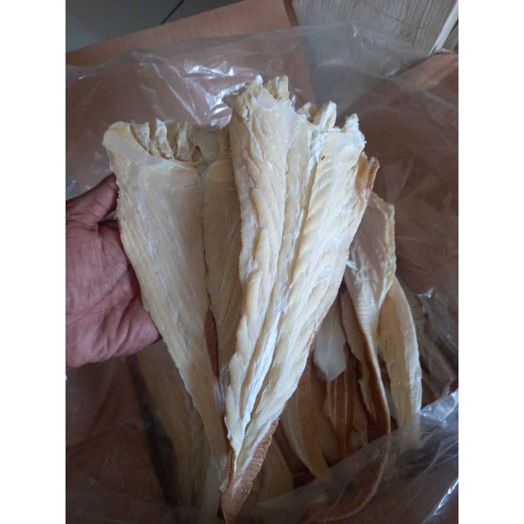 

ikan asin pari murah 1 kg