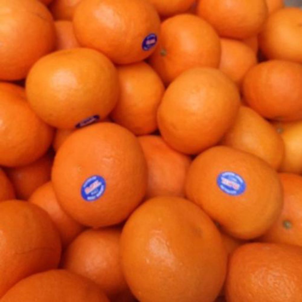 

Jeruk mandarin Per/kg