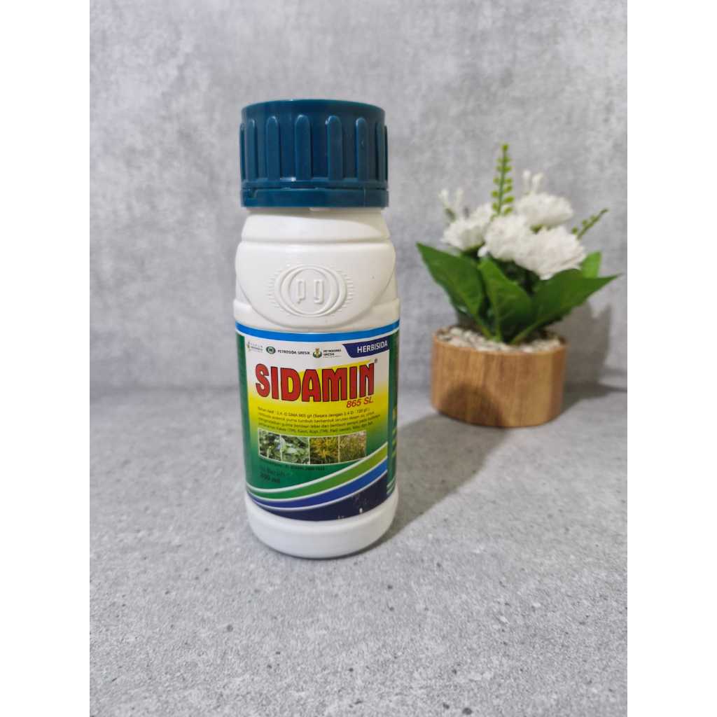 Sidamin 865 SL Herbisida Rumput Daun Lebar Sidamin Obat Rumput