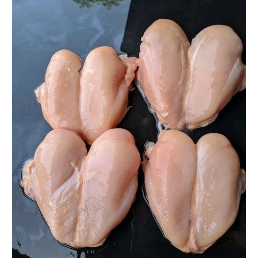 

Fillet dada ayam boneless 1kg fresh berkwalitas
