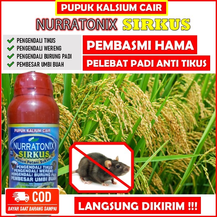 Pembasmi Tikus Nurratonix sirkus 500 ML - Pupuk Organik pengendali tikus, pelebat padi anti hama tik