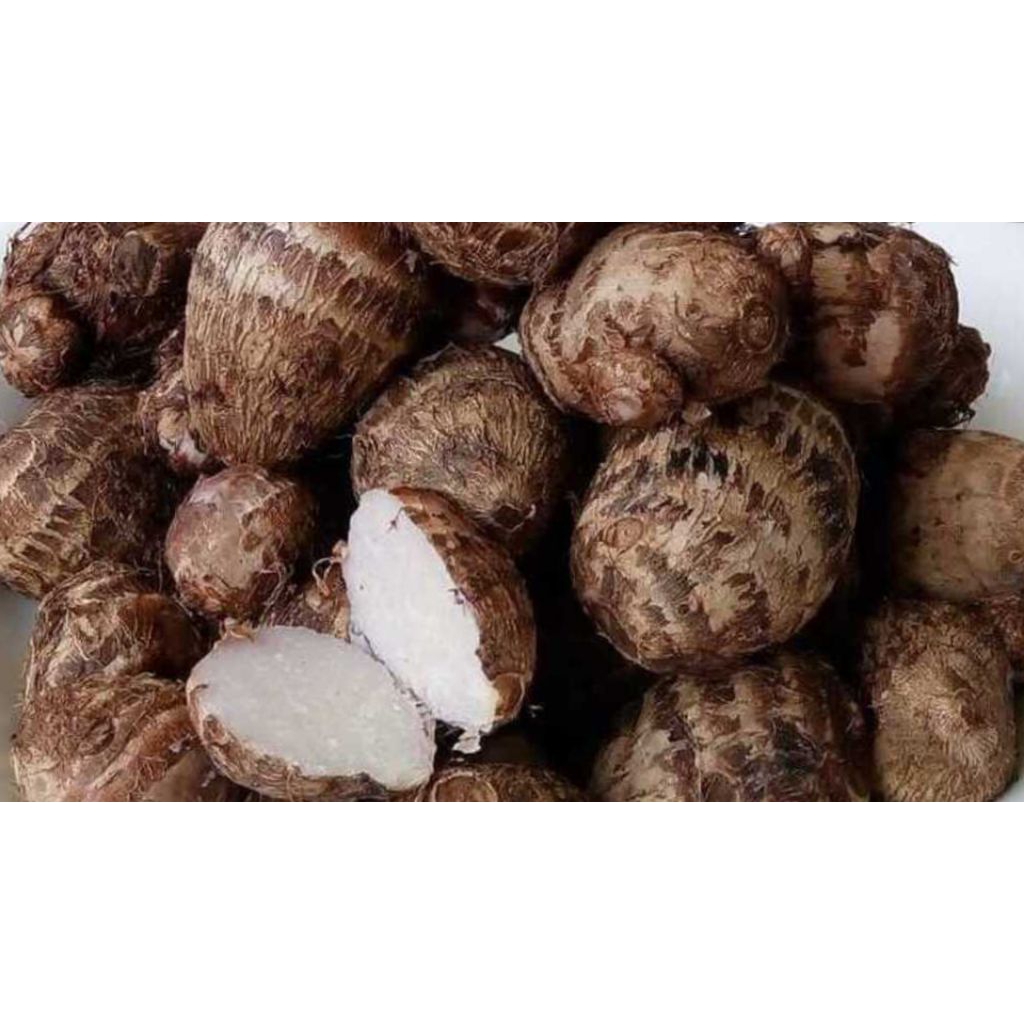 

Umbi Talas Fresh dan Segar, Cemilan Sehat dan Bergizi! (1kg)