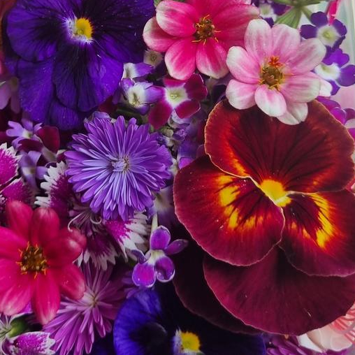 

Hiasan Kue Nasi Tumpeng Bunga Mixed Edible Flower Isi 25 Pcs Campuran Hotel Dan Resto Dekorasi Makanan