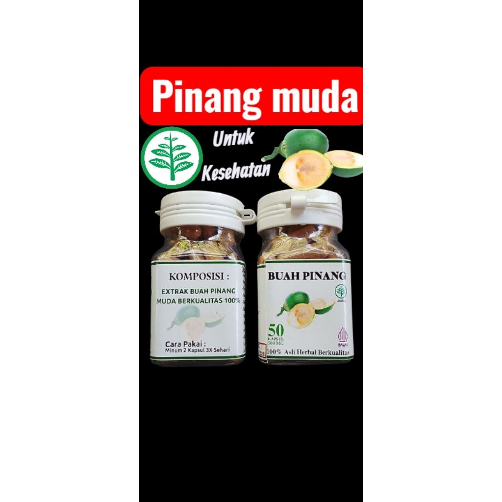

Serbuk Buah pinang muda asli. (isi 50)