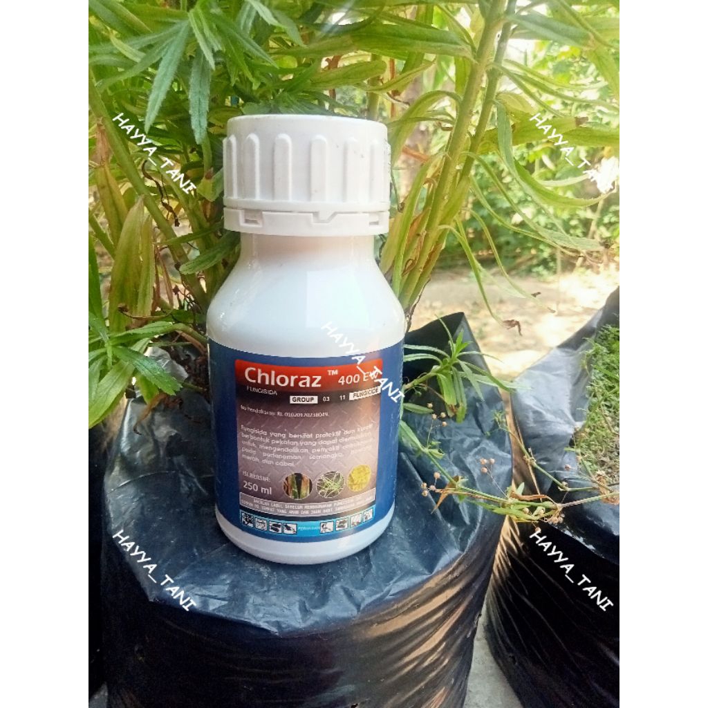 Fungisida CHLORAZ 400 EW