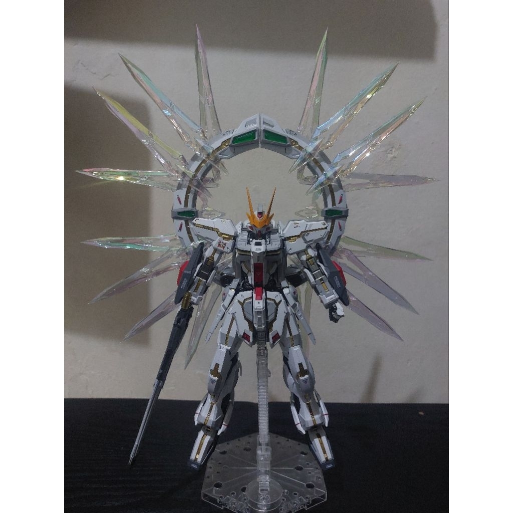 ETERNAL STAR GLORY 1/100 Full Repaint