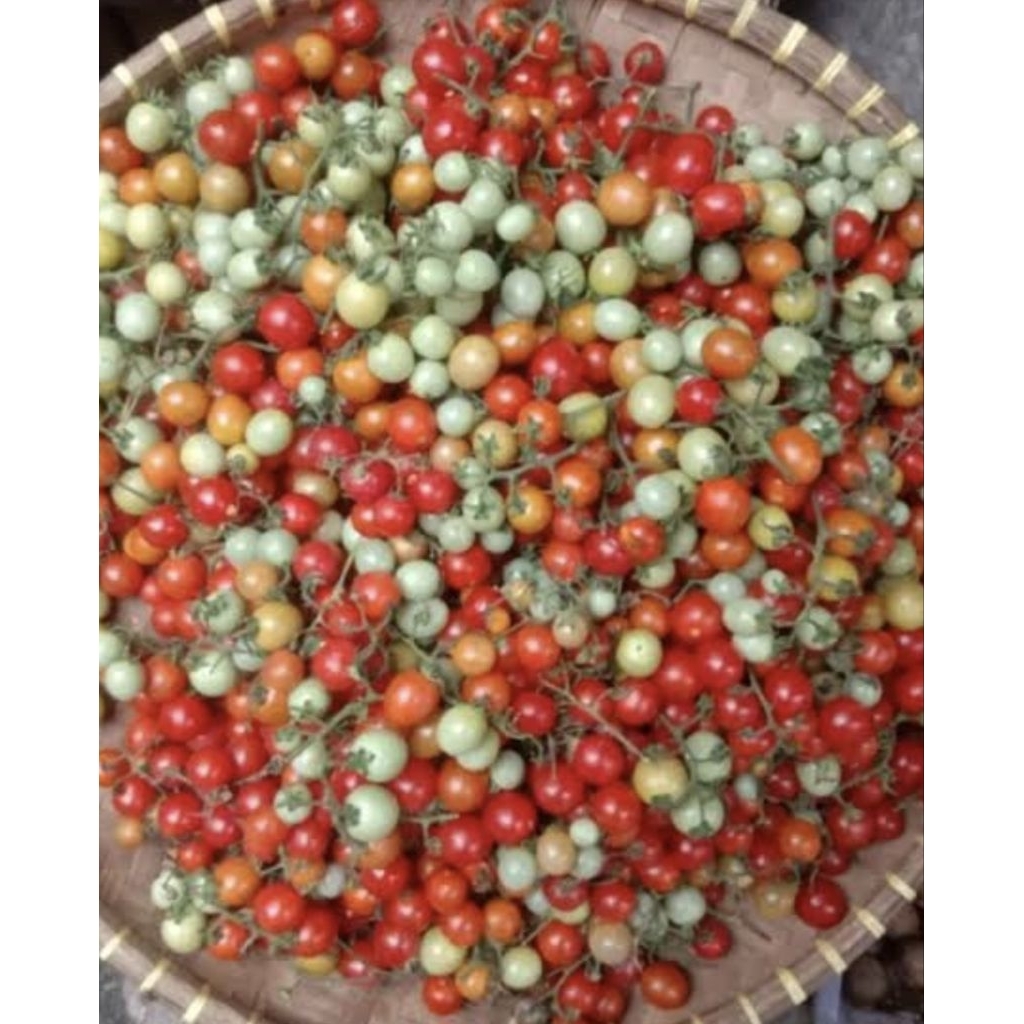 

rampai, rampai sambal seruit , fress