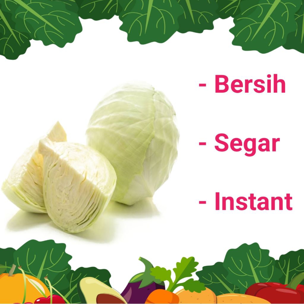 

SAYUR KOL/KUBIS SEGAR DAN BERSIH