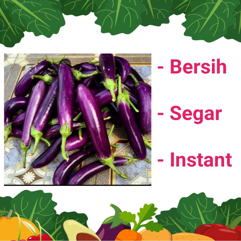 

TERONG UNGU SEGAR & BERSIH - PALEMBANG