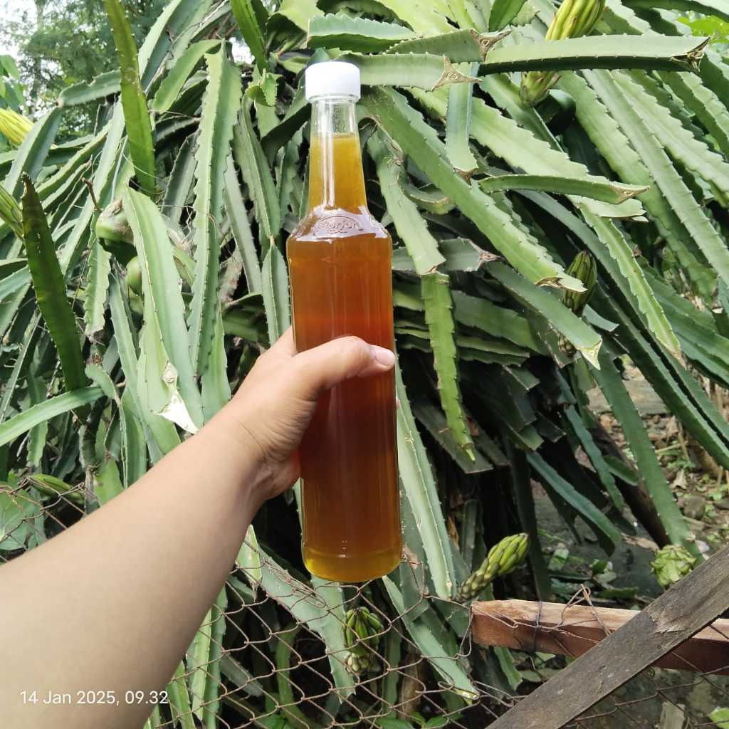

Madu Azka 460ml - 100% madu asli – tanpa pengawet, tanpa pemanis buatan
