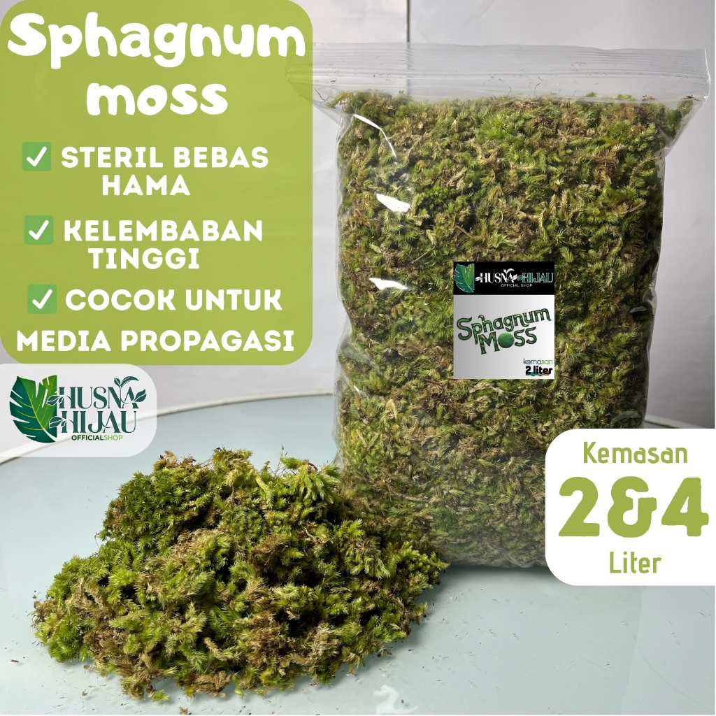 Berkahbaroka28 Sphagnum Moss, Kemasan 2&4 Liter Lumut Hidup Hutan Pinus, Lumut Hidup Media Tanam