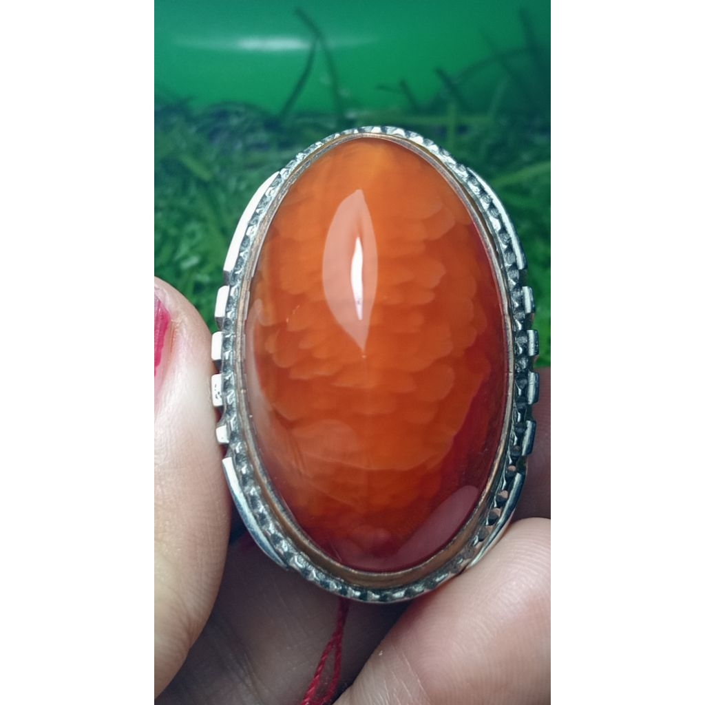 batu cincin pandan merah sisik betok