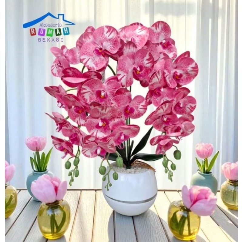 RANGKAIAN BUNGA SUDUT ANGGREK LATEX BULAN 3 CABANG MODEL SEJAJAR DENGAN POT BOLA