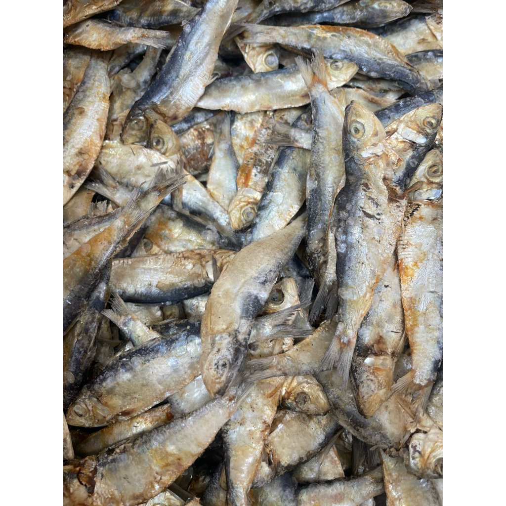 

PALING MURAH! ikan bilis kering asin