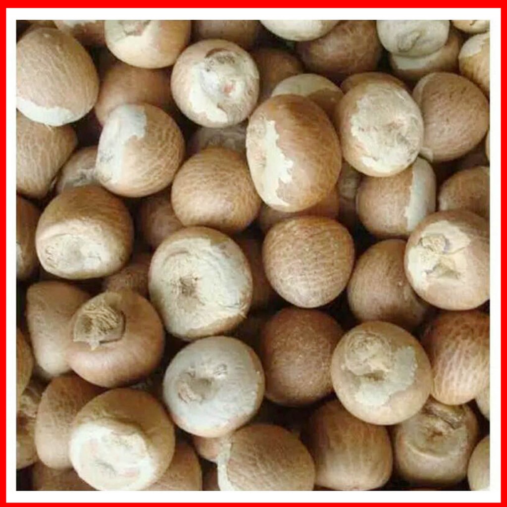 

PROMO !!! Buah pinang kering 1kg / Biji pinang Kering Bulat