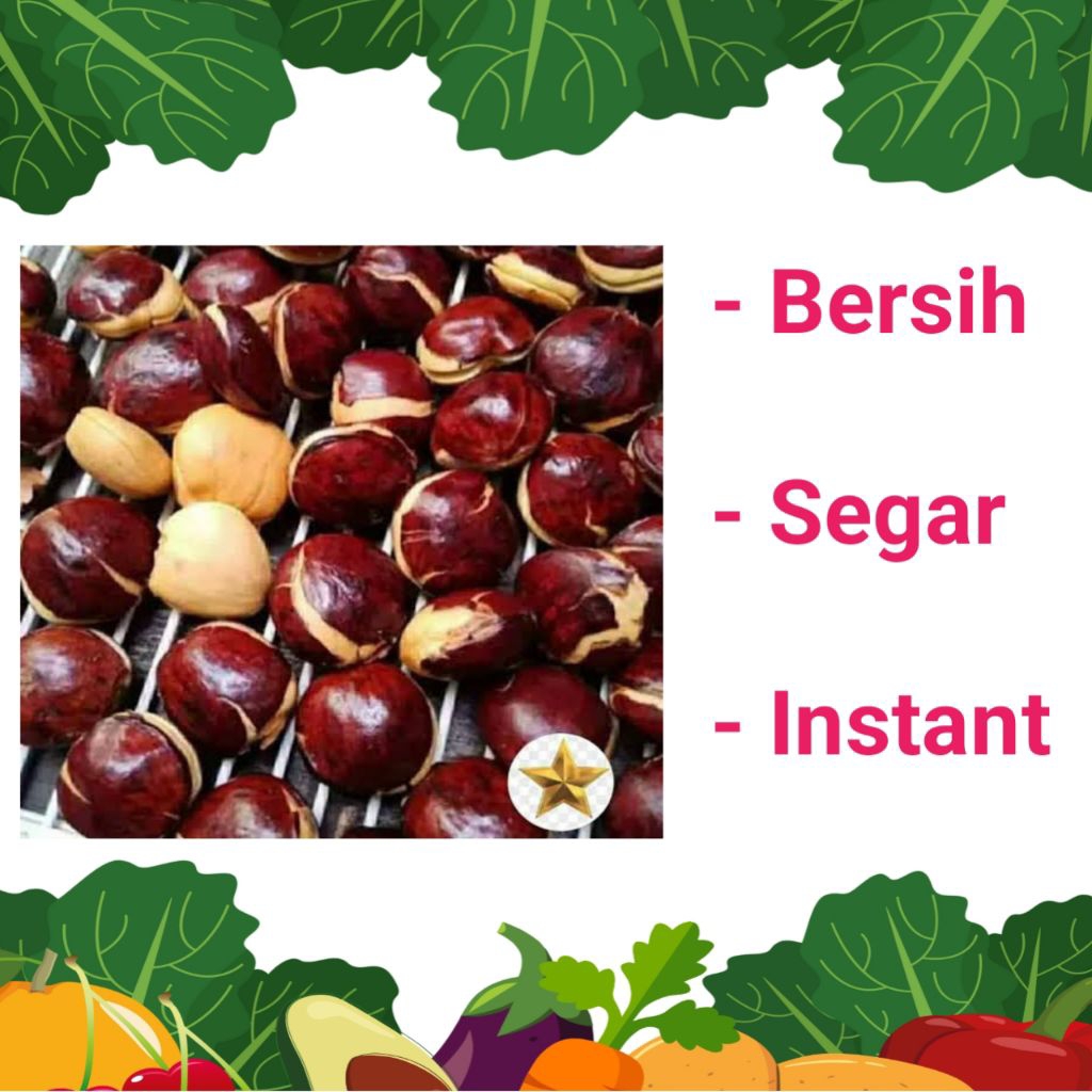 

JENGKOL TUA - PALEMBANG