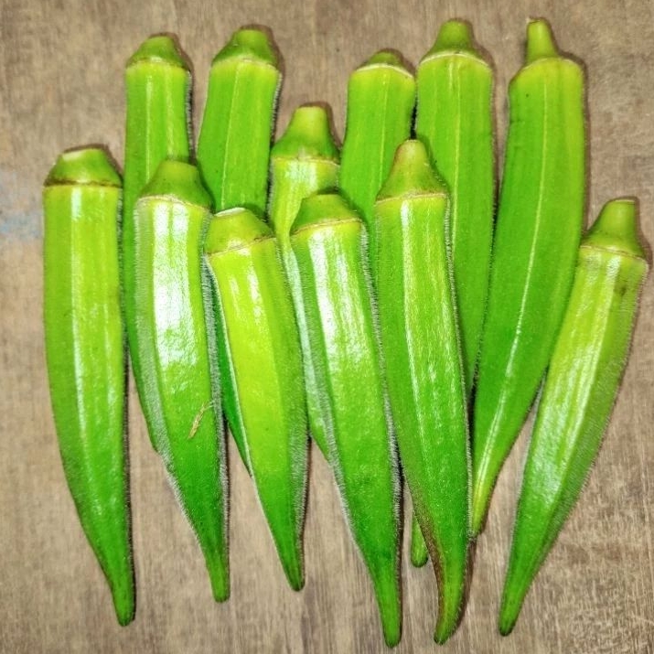 

OKRA FRESH 1KG GRADE A BARU PETIK DARI POHON