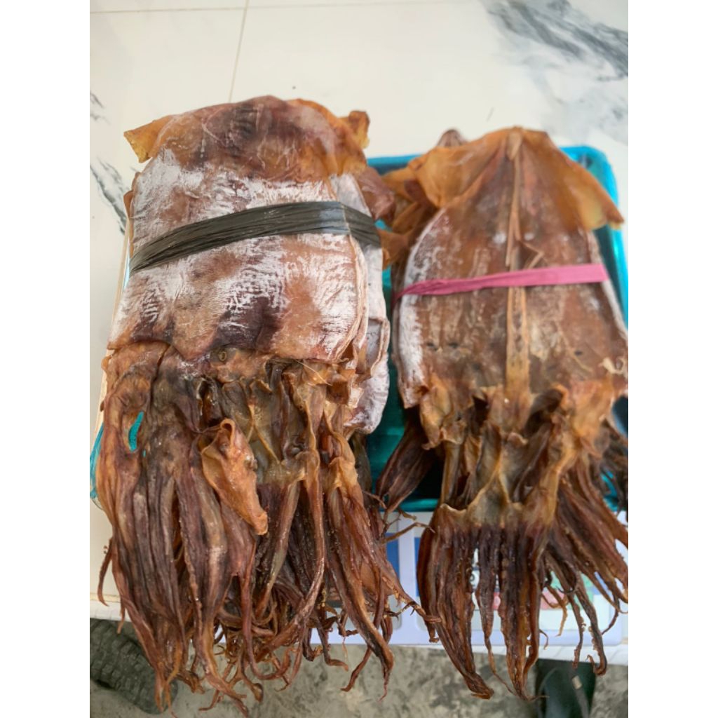 

cumi sotong juhi kering tawar besar super pilihan