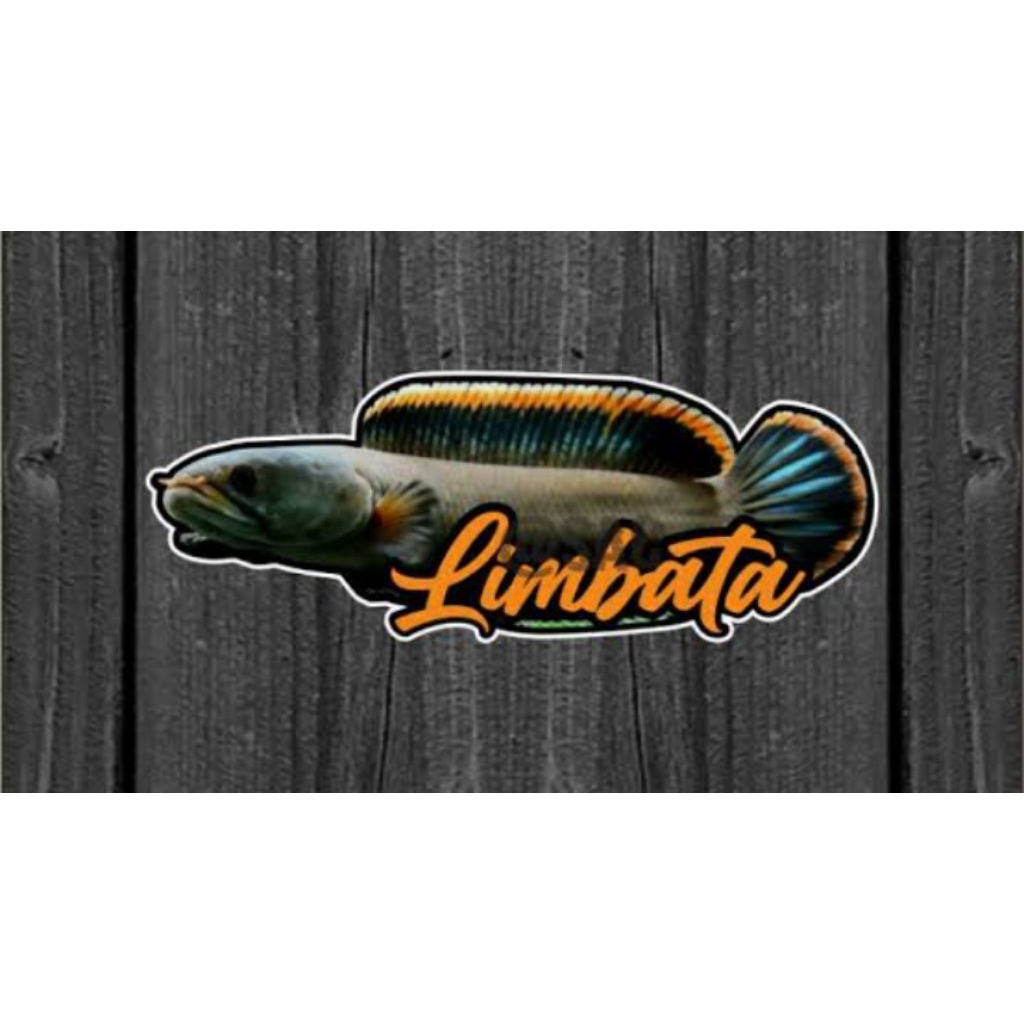 

limbata super pedas