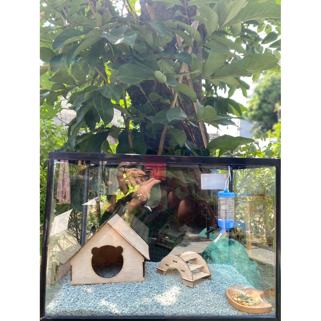 Sellyliavitaliavita Aquarium Nikita Aquarium Hamster Paketan Aquarium Kandang Hamster Terarium