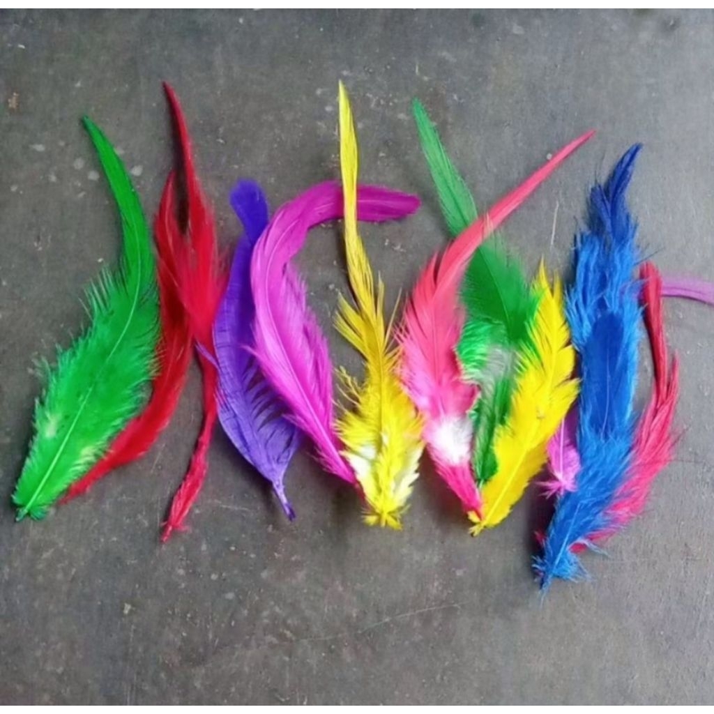 Bulu ayam umpan pancing bulu ayam umpan ikan umpan tenggiri umpan rewel umpan kontekan umpan lanjut 