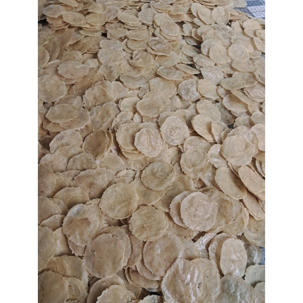 

Emping Mplinjo Mentah Asli Emping 100% Kualitas Super Premium Lebar 4-5 Original