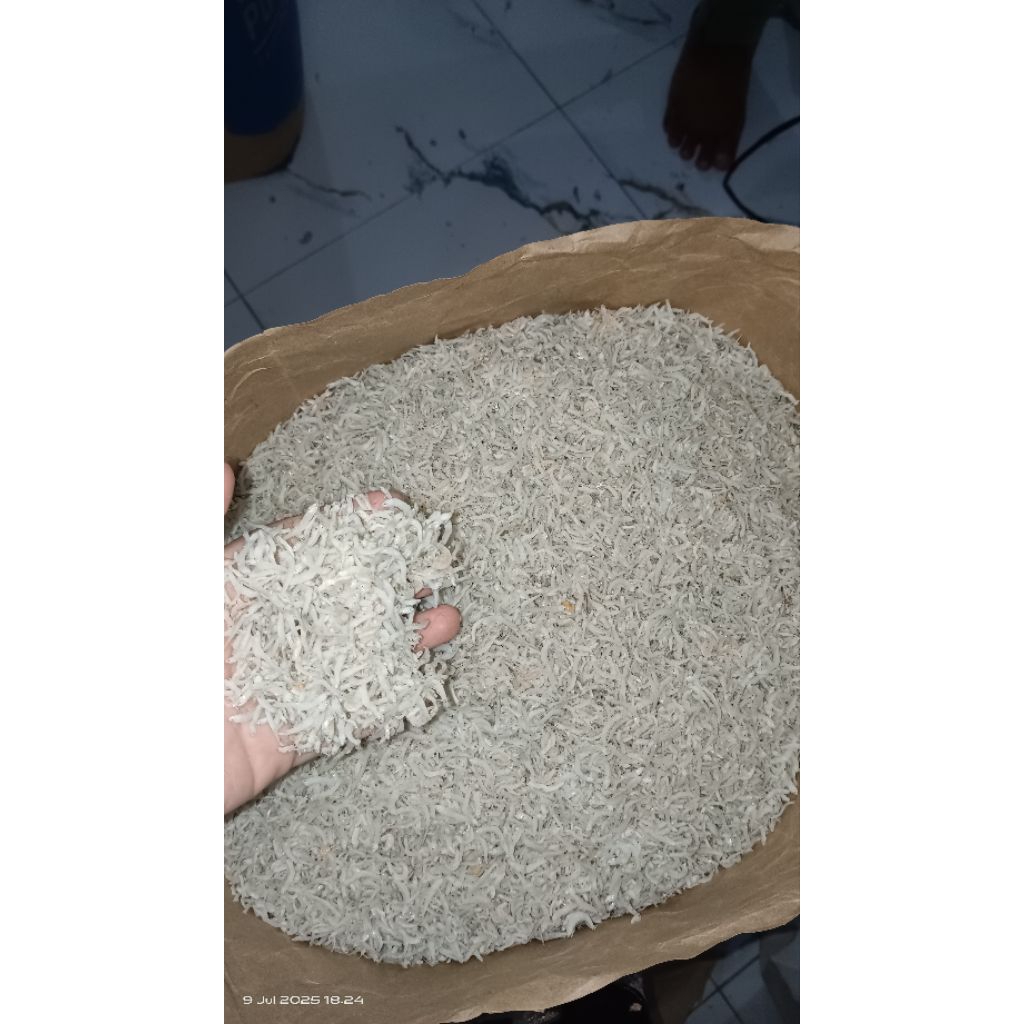 

teri nasi | teri nasi ukurang sedang cenderung agak halus