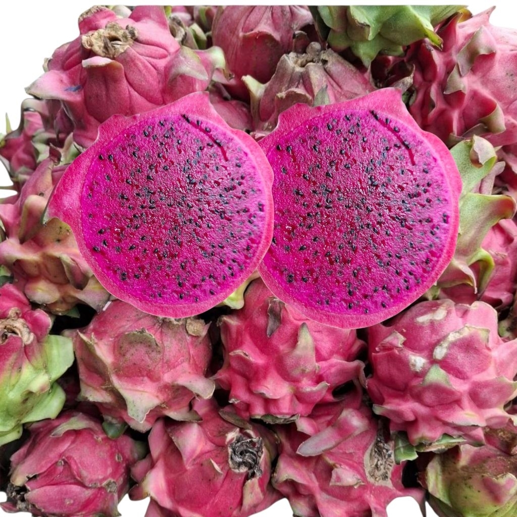 

Buah Naga Segar Pilihan 1kg