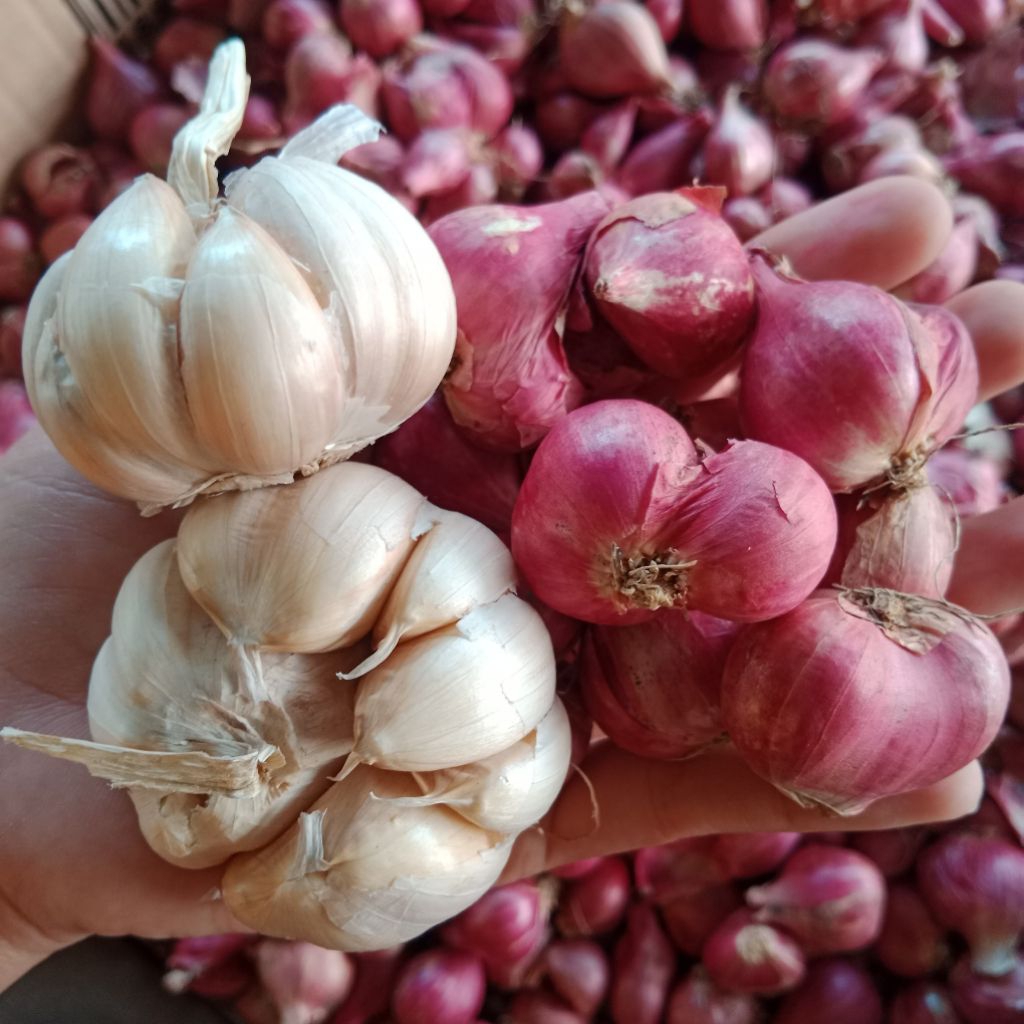 

MIX Bawang merah dan Bawang Putih