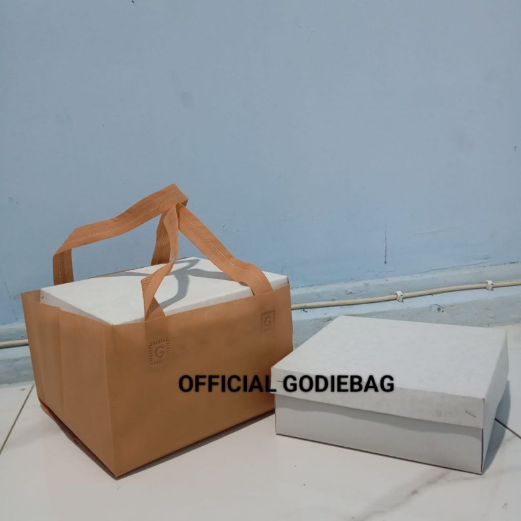 

Tas Box Nasi press UK 18x18 isi 60pcs