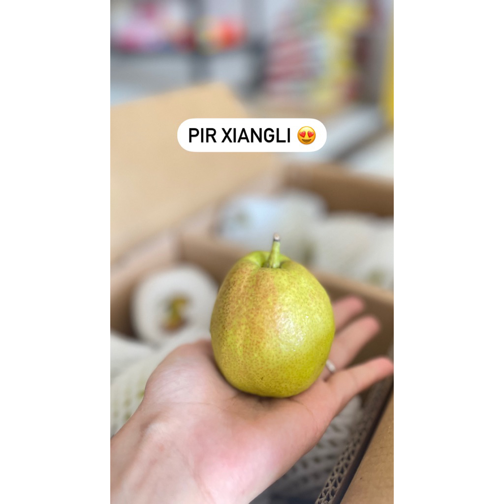 

pir xianglie siangli pir hijau