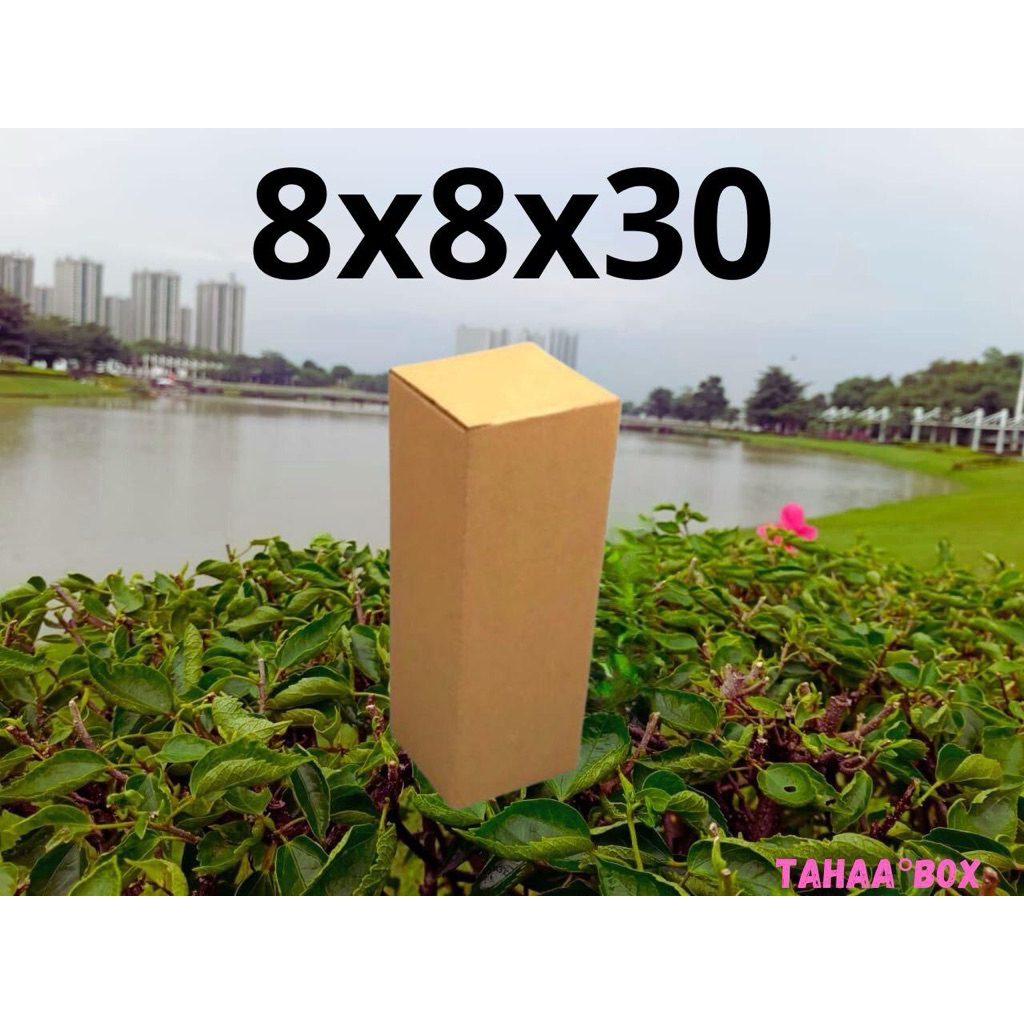 

kardus packing ukuran 8x8x30