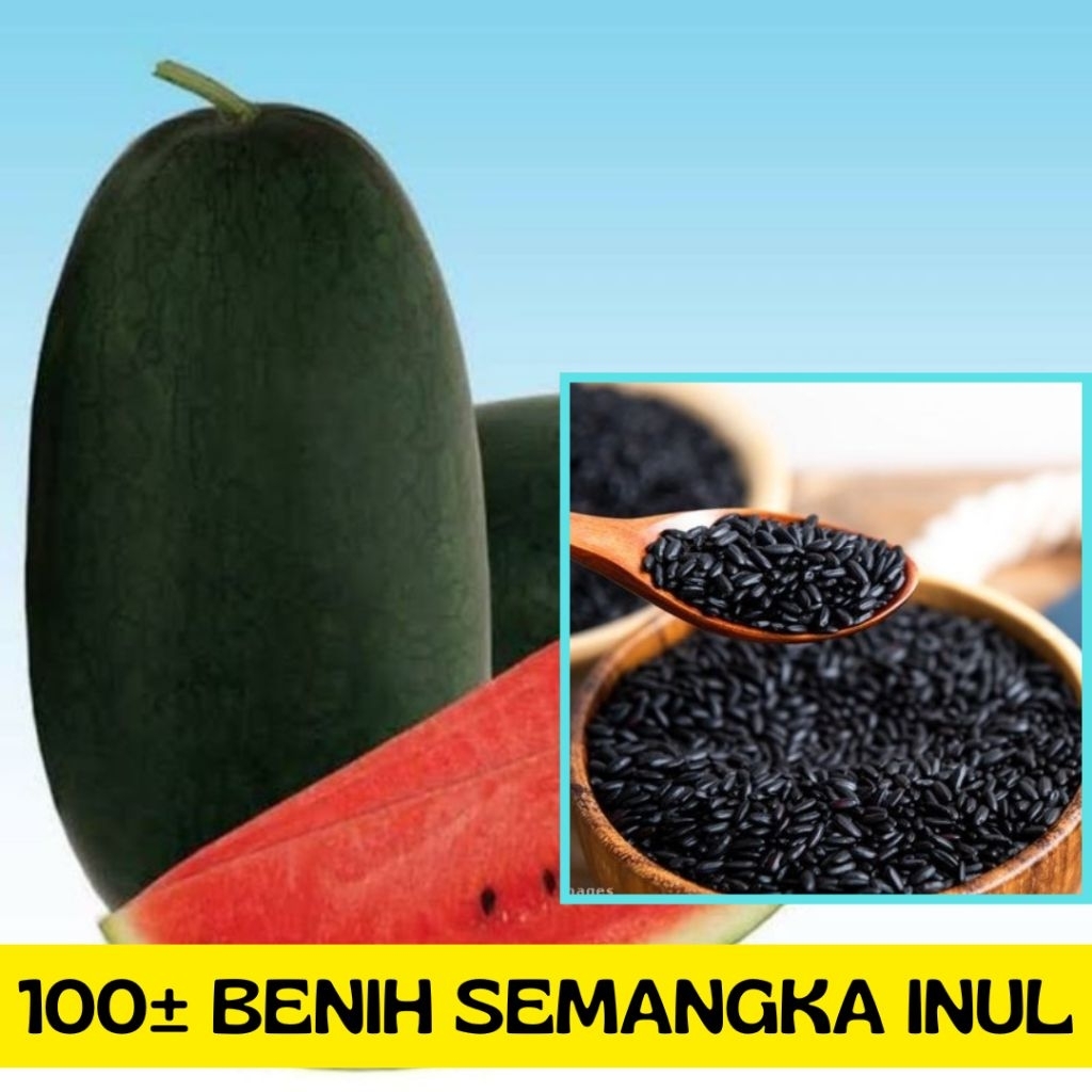 

100± biji semangka inul