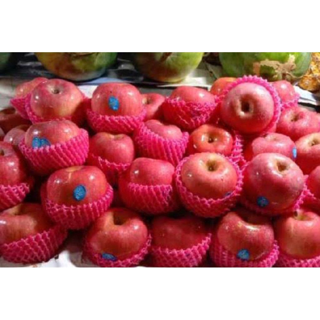 

apel puji fresh netto 1000gr