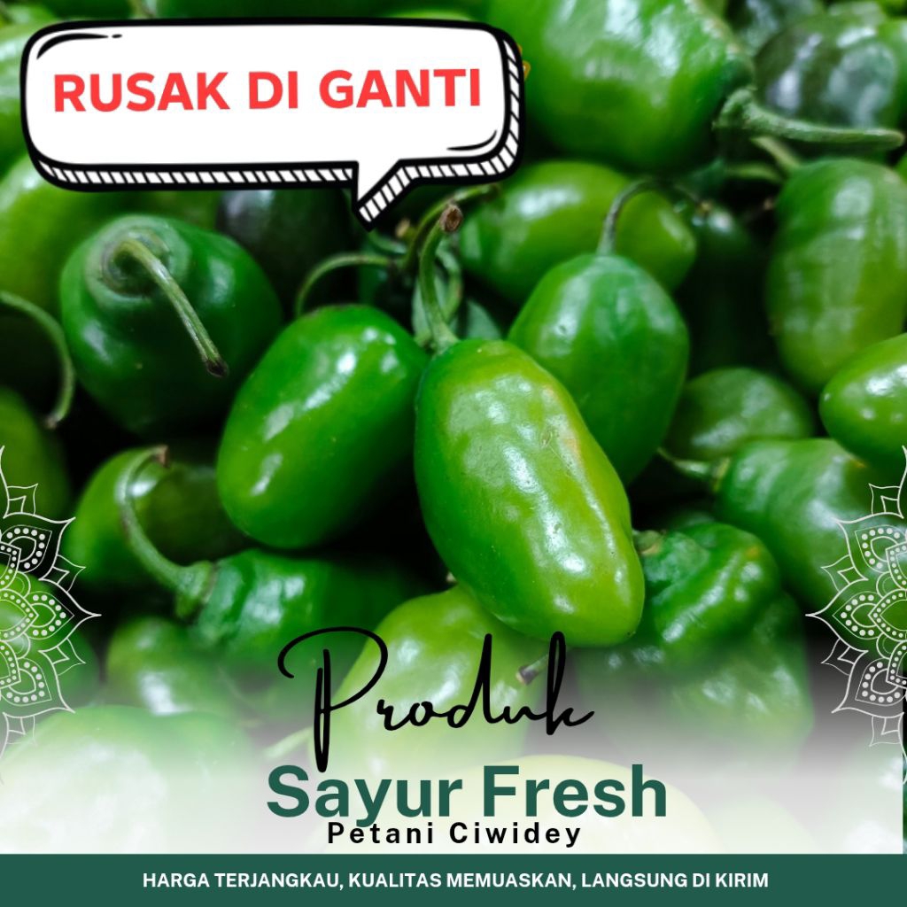

CABAI GENDOT HIJAU FRESH 1 KG PEDASSSSS