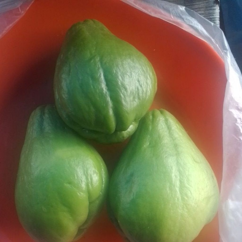 

labu Siam / japan fresh