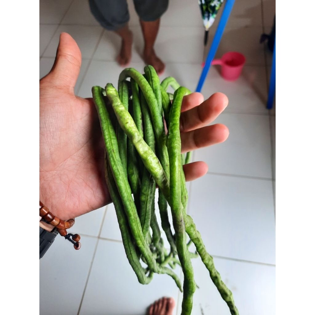 

KacangPanjangMakananPendamping