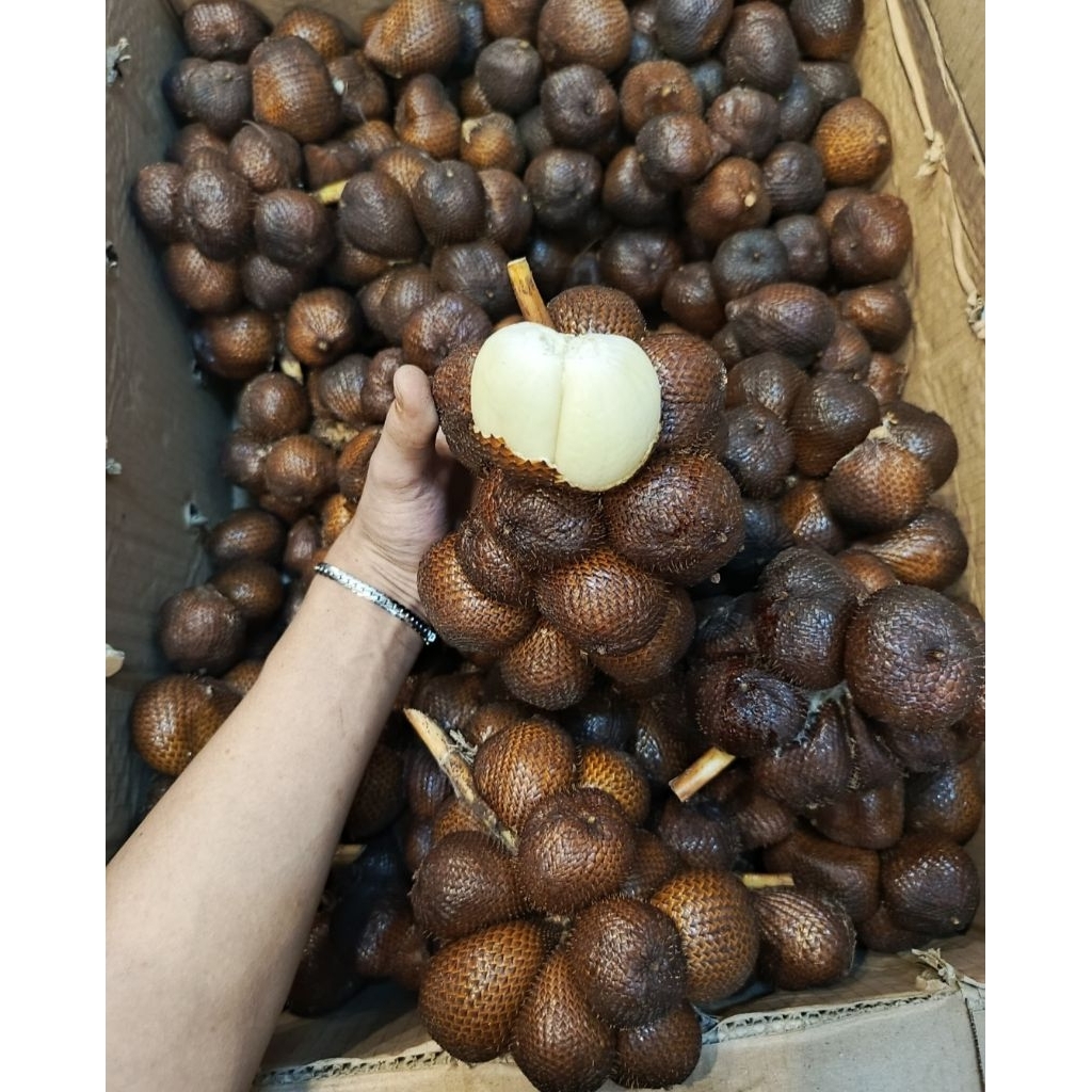 

Salak Gula Pasir Manis Mantap Super Promo 1 Kg