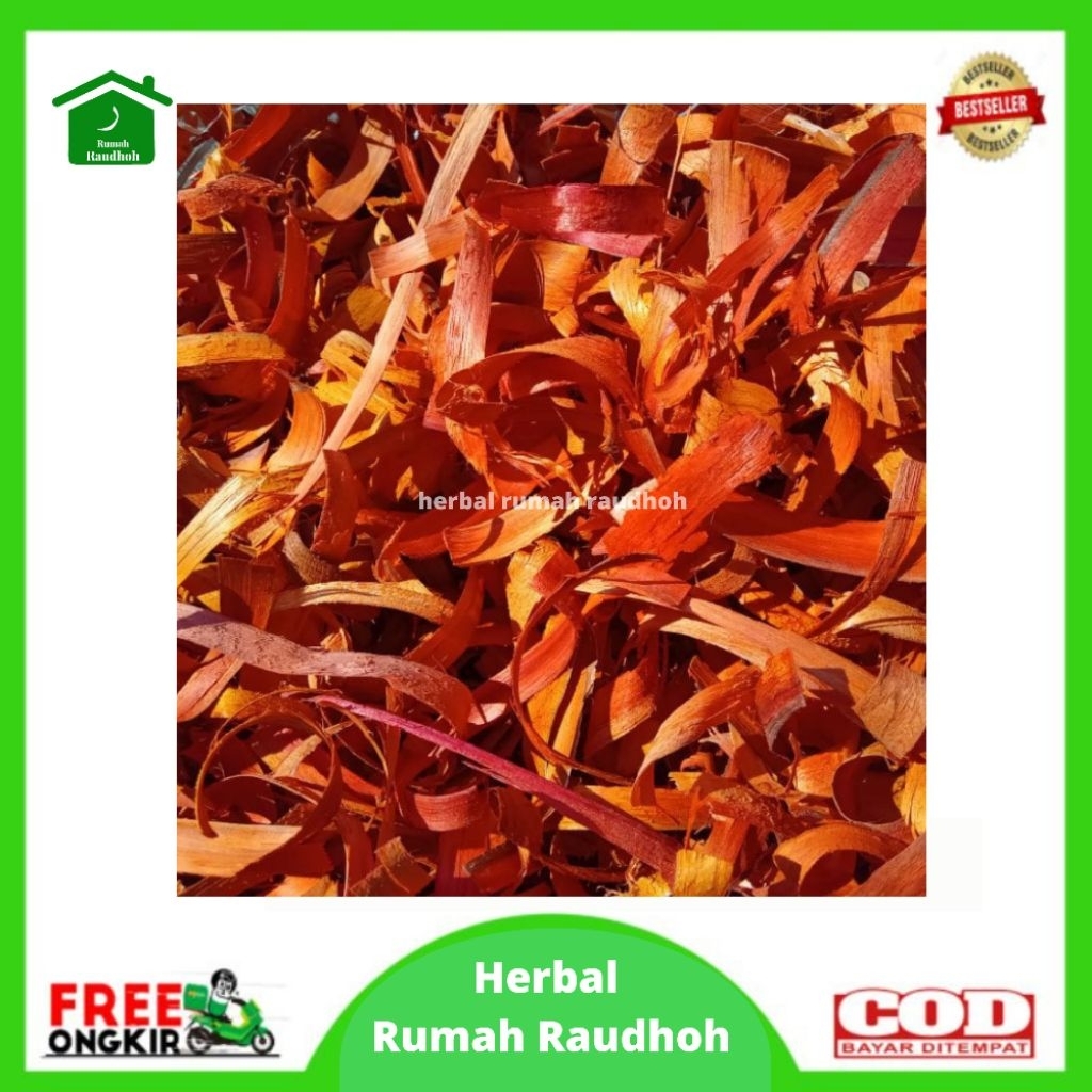 

KAYU SECANG 100 GRAM - MENCEGAH PANAS DALAM