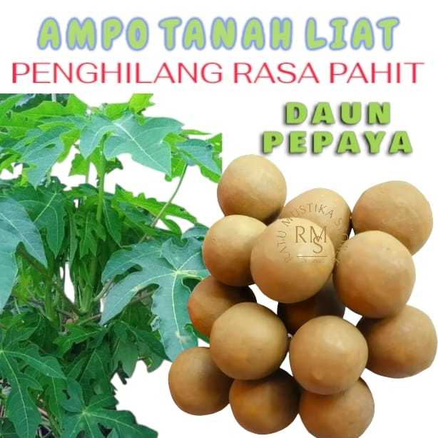 TANAH LIAT AMPO  PENGHILANG RASA PAHIT DAUN PEPAYA & PARE / TANAH LEMPUNG "SI BATU AJAIB"