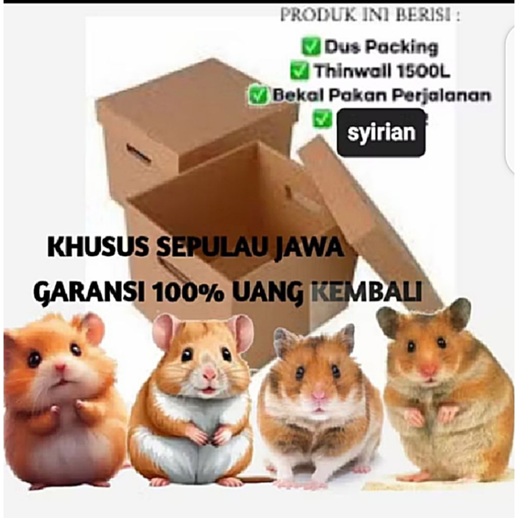 

Packing kardus+semua jenis gransi usus pulau jawa