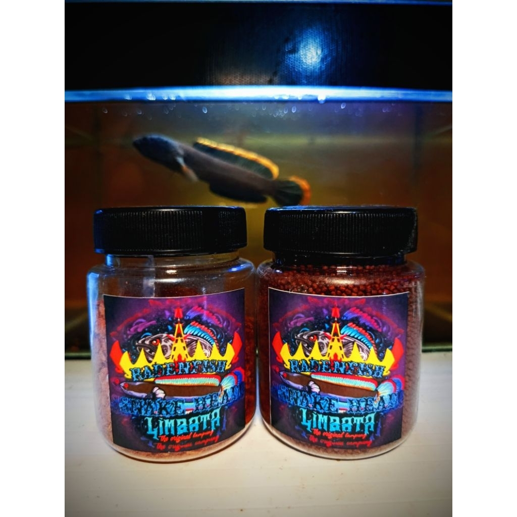 pelet ikan Channa Limbata Wc Lampung Tanggamus flaring