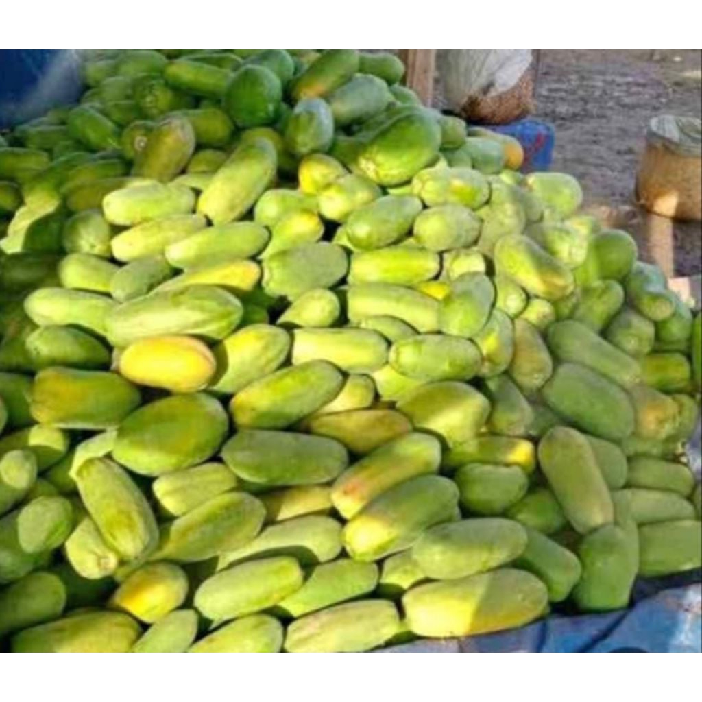 

1 Kg Pepaya California Fresh Daging Tebal